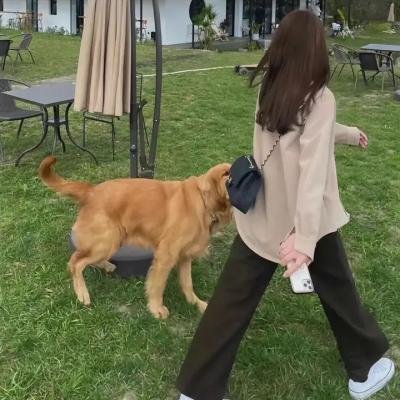 摩登原始人第四季
